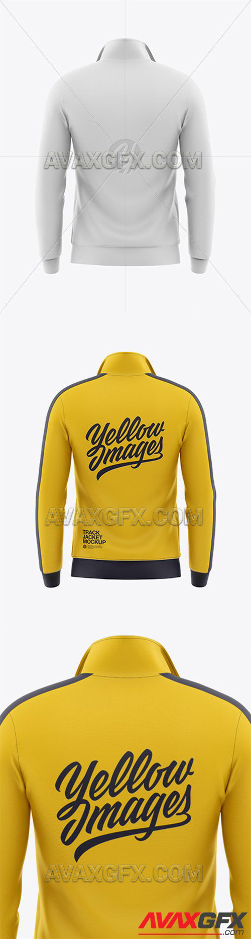 Download View Womens Long Sleeve Bomber Jacket Mockup Front View ...