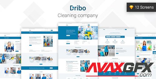 ThemeForest - Dribo v1.0 - Cleaning company Sketch Template - 22566699