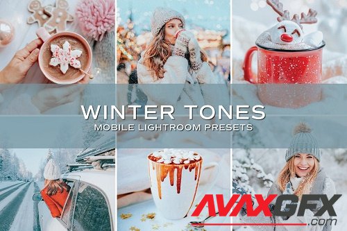 CreativeMarket - 5 Winter Tones Lightroom Presets 5698860