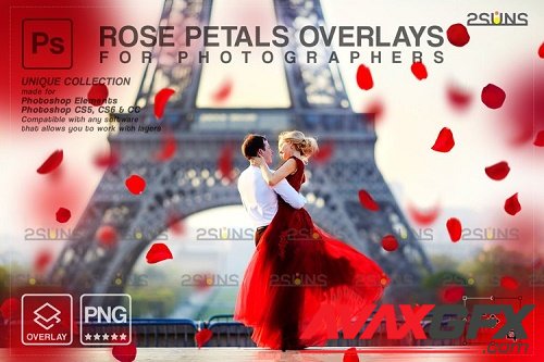 Falling Rose Petals Photo Overlays, Rose Petals, Red Rose - 1133526