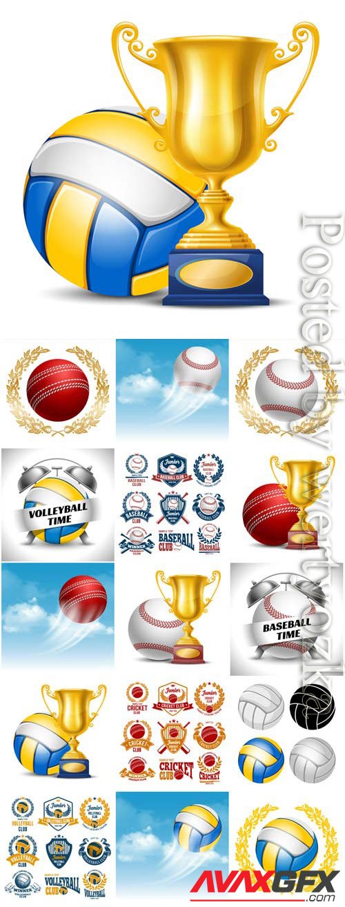 Sports items, balls and cups in vector