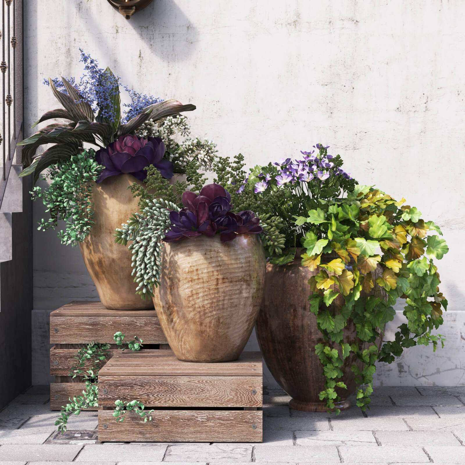 Summer flowers in pots