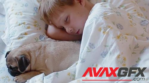 MotionArray – Boy Sleeping With A Puppy 1018047