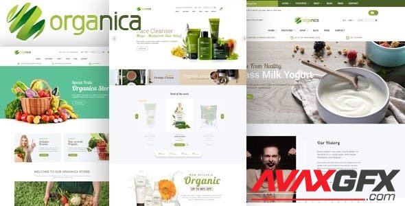 ThemeForest - Organica v1.0.2 - Organic, Beauty, Natural Cosmetics, Food, Farn and Eco Magento Theme - 18659746