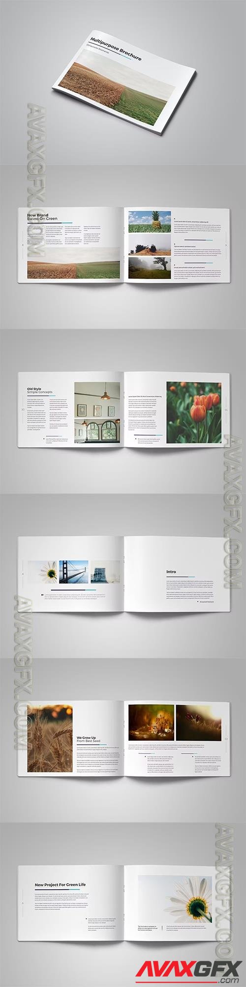 Donquixote - Brochure 8PFPMG2
