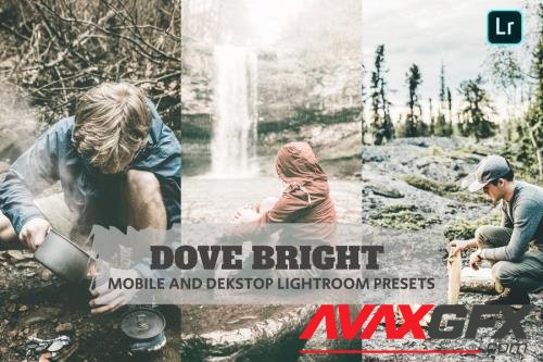 Dove Bright Lightroom Presets Dekstop and Mobile