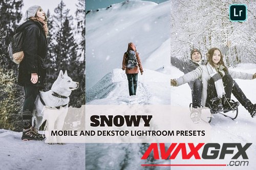 Snowy Lightroom Presets Dekstop and Mobile