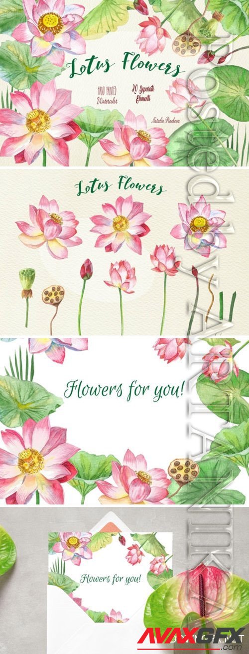 Lotus Flowers Watercolor PNG and PSD Clipart