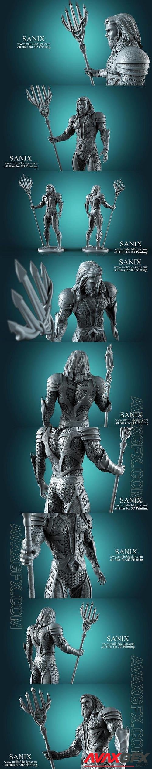 3D Print Models Aquaman