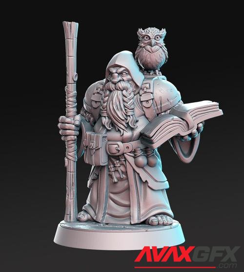 Dramnir - Dwarf Wizard with owl – 3D Print