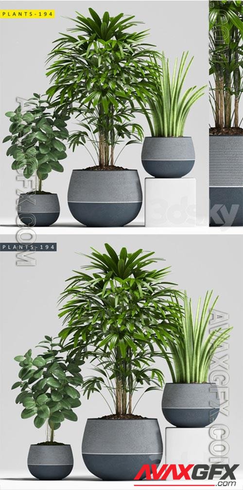 3D Models Plants 194