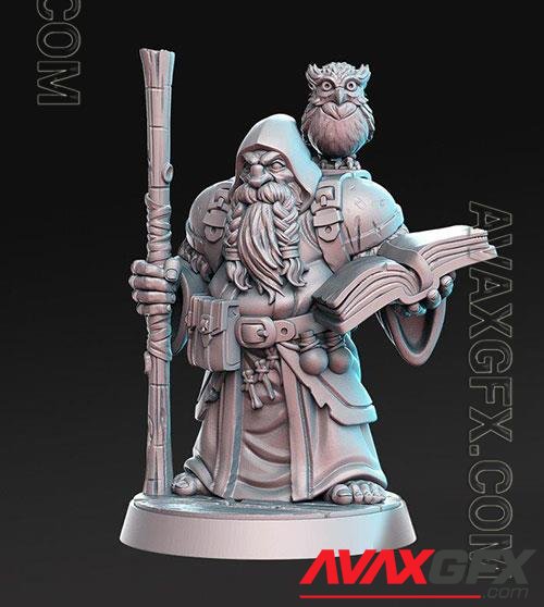 3D Print Models Dramnir - Dwarf Wizard with owl