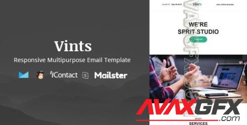 Vints Mail - Online Access + Mailster + MailChimp 28285251