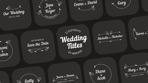 Videohive - Wedding Titles 44317849